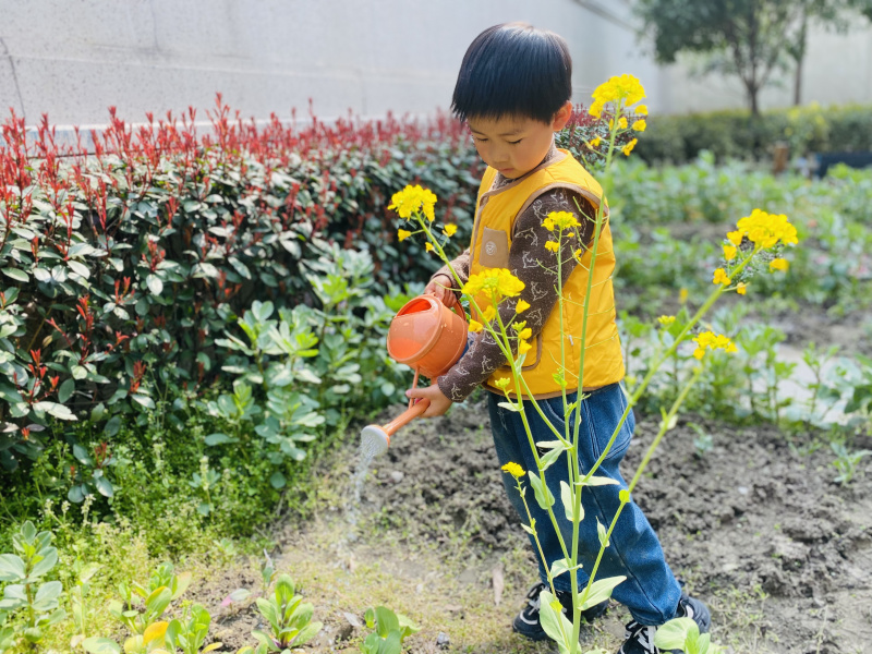 绿意盎然，共筑美好童年——美好慧承幼儿园植树节活动